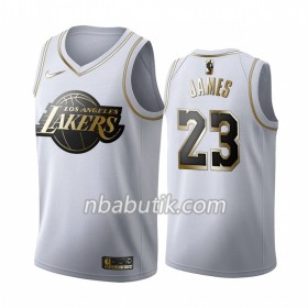 NBA Mænd Trøje Los Angeles Lakers LeBron James 23 Nike 2019-20 Hvid Golden Edition Swingman